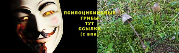 дмт Мегион