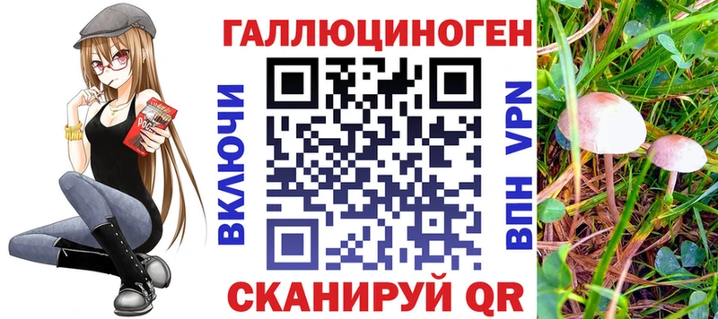 Псилоцибиновые грибы прущие грибы  Ахтырский 